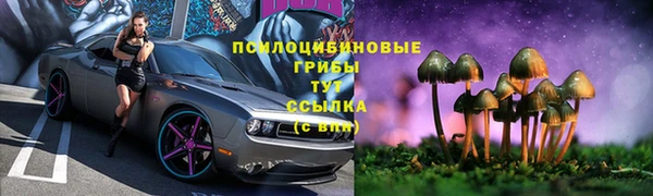 ешки Заводоуковск