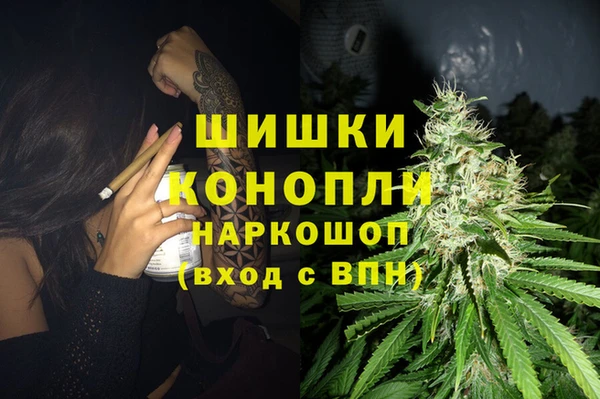 ешки Заводоуковск