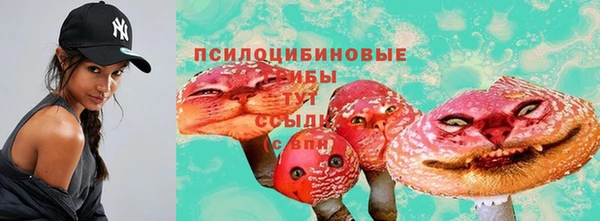 ешки Заводоуковск
