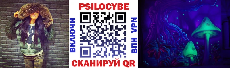 где продают   mega ONION  Галлюциногенные грибы Psilocybe  Таштагол 